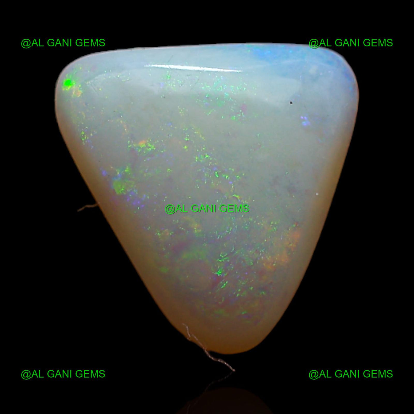 Natural White Opal Gemstone 1.55 Cts Loose Trillion Cabochon 10x9x2 mm A-280