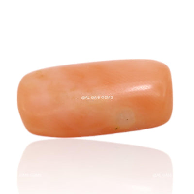 Natural Coral Loose Gemstone Oval Cabochon From Tiwan 5.00 Cts 16x8x4 mm C-271