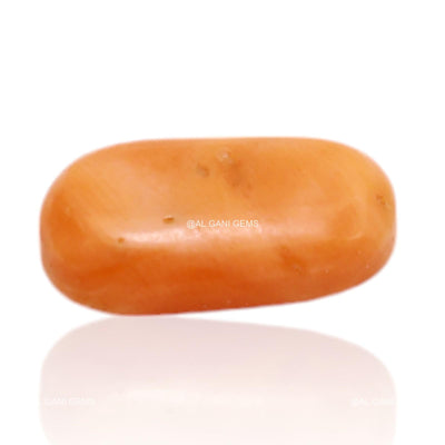 3.00 Cts Natural Tiwan Coral Oval Cabochon Loose Gemstone 13x7x3 mm C-299