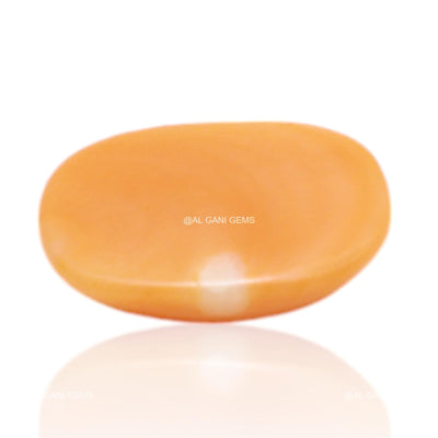 Natural Coral Loose Gemstone Oval Cabochon From Tiwan 3.00 Cts 12x8x4 mm C-300