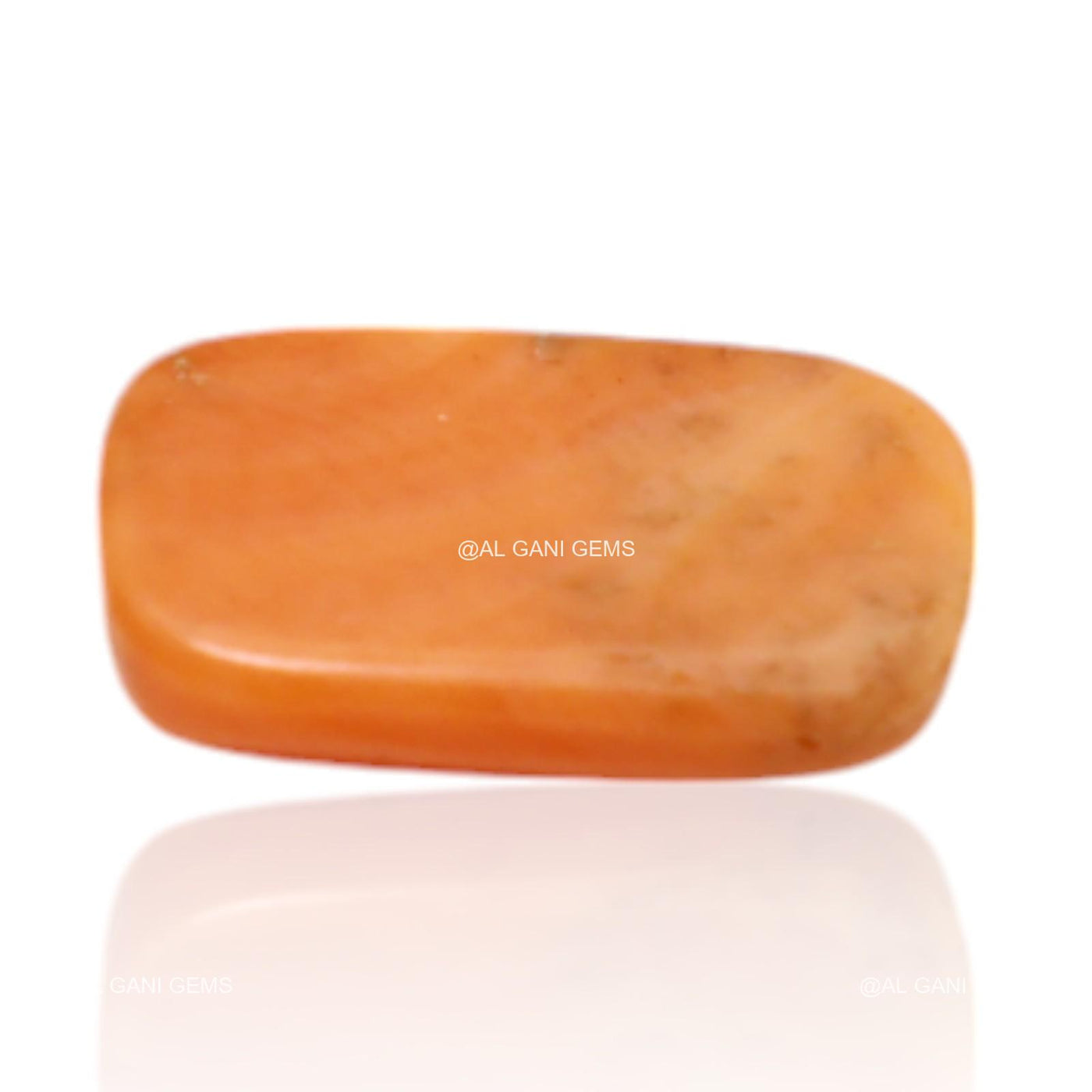 Natural Coral Gemstone 3.00 Cts Loose Oval Cabochon From Tiwan 12x7x4 mm C-302