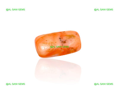 Natural Coral Gemstone 5.00 Cts Loose Oval Cabochon Tiwan 15x10x3 mm C-353