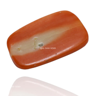 Natural Coral Loose Gemstone Oval Cabochon Taiwan 4.90 Cts 15x9x3 mm C-42