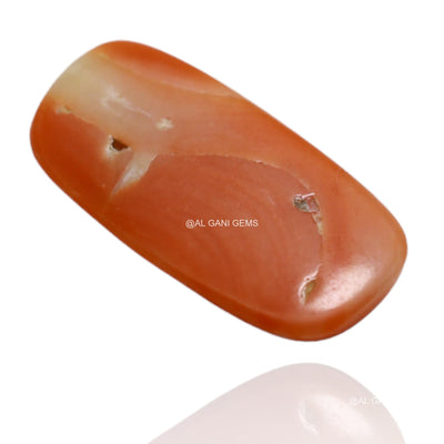 Natural Coral Loose Gemstone Oval Cabochon Taiwan 3.90 Cts 17x8x2 mm C-99