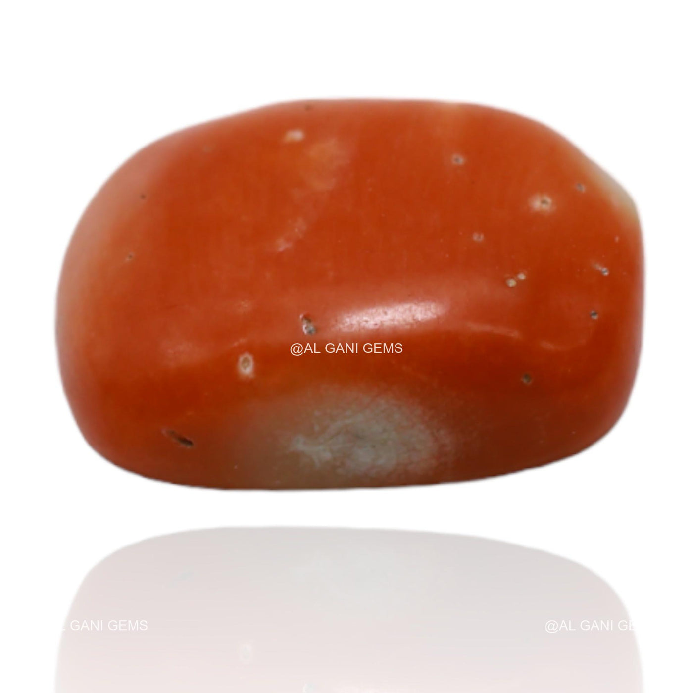 5.60 Cts Natural Taiwan Coral Loose Gemstone Oval Cabochon 12x9x4 mm C-135