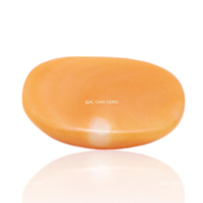 Natural Coral Loose Gemstone Oval Cabochon From Tiwan 3.00 Cts 12x8x4 mm C-300